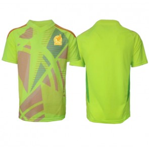 Mexico Goalkeeper Replica Away Stadium Shirt Copa America 2024 Short Sleeve